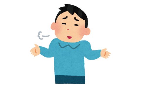 一度高価なジョギングシューズ履いたらもう戻れん、、、