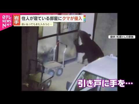 【🐻】「顔のすぐ横まで」クマが“寝室”に侵入　器用にドア開け…何度も出没　岩手