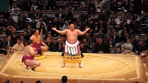 【衝撃】大相撲9日目、横綱大関総崩れで綱獲り霧島さんも痛恨の2敗目・・・・・・・・・