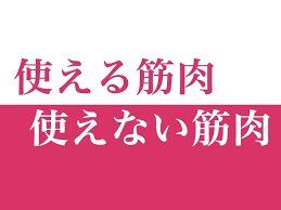 【悲報】ジムで筋トレに励む人、無駄な筋肉だと示されるww(※根拠あり)